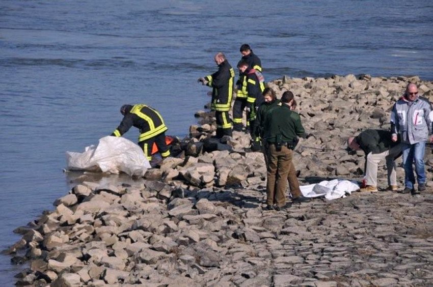 Einsatz BF Koeln Person im Rhein Rheinkassel P18.jpg